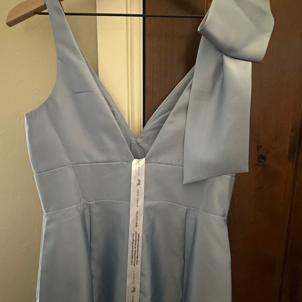 NWT ALFRED SUNG Sky Blue size 10- Bridesmaid, Mother of, Formal Dress - Picture 7 of 9